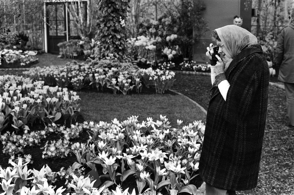Touristen fotograferen in Keukenhof, Bestanddeelnr 928-5147