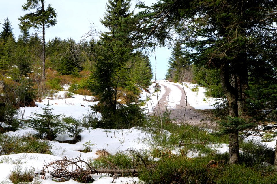 Track Unterstmatt to Ochsenstall 2020-03-14 17