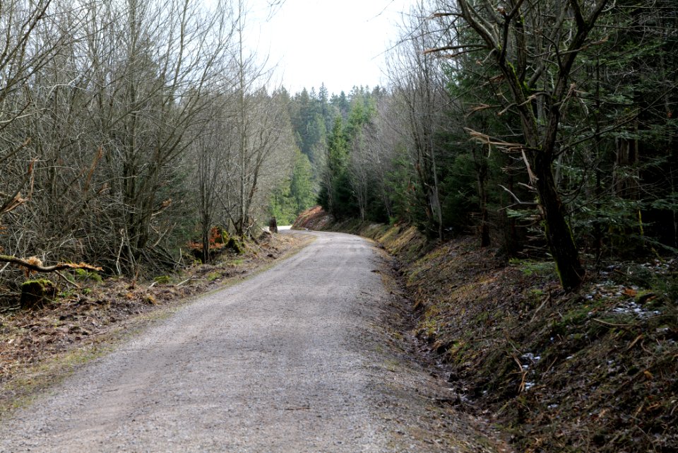 Track from Herrrenwieser Sattel to Mittelfeldhütte 2020-03-13 06