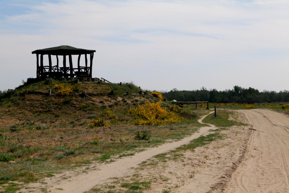 Track in Döberitzer Heide Ferbitzer Bruch 2020-05-08 10