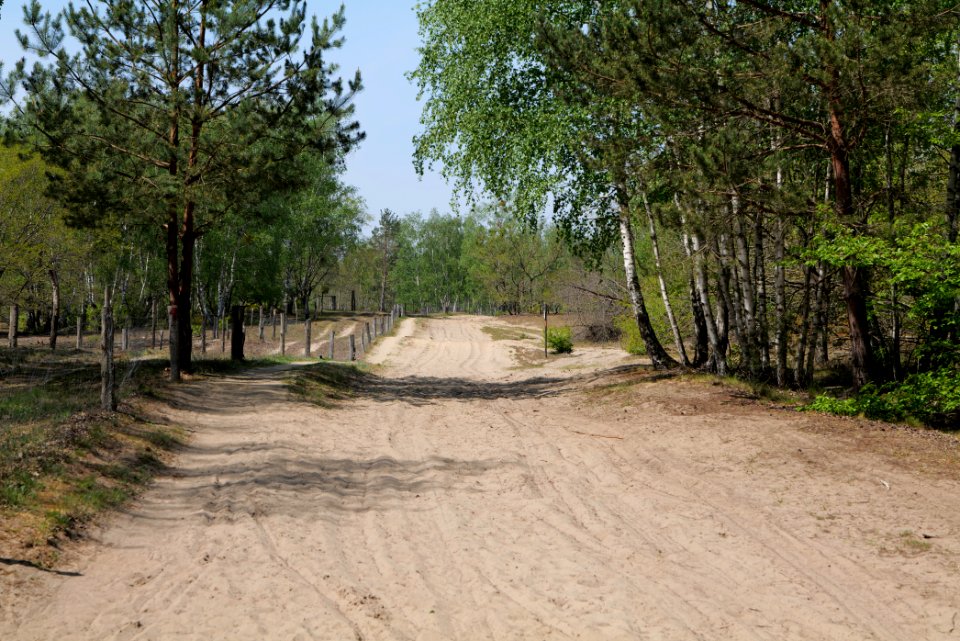 Track in Döberitzer Heide 2020-05-08 108