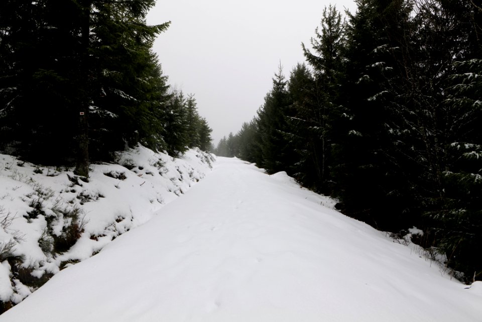 Track from Herrenwieser Sattel to Badener Höhe with snow 2020-03-10 10