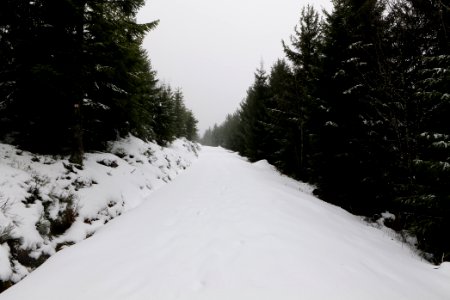 Track from Herrenwieser Sattel to Badener Höhe with snow 2020-03-10 10