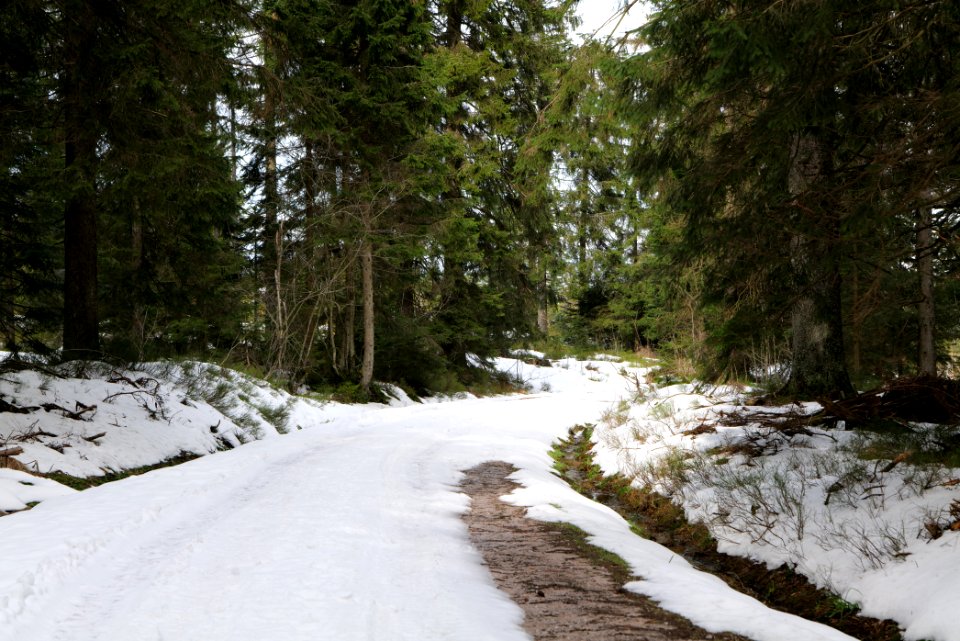 Track Unterstmatt to Ochsenstall 2020-03-14 20