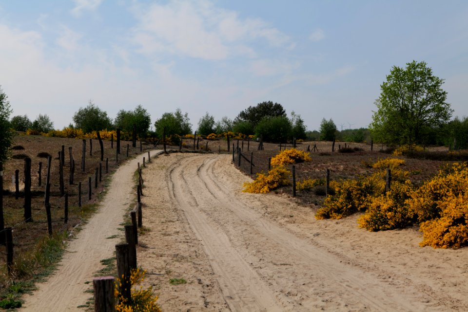 Track in Döberitzer Heide 2020-05-08 55