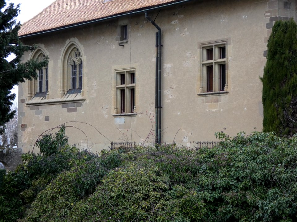 Thonon-les-Bains - Château de Ripaille - Mur