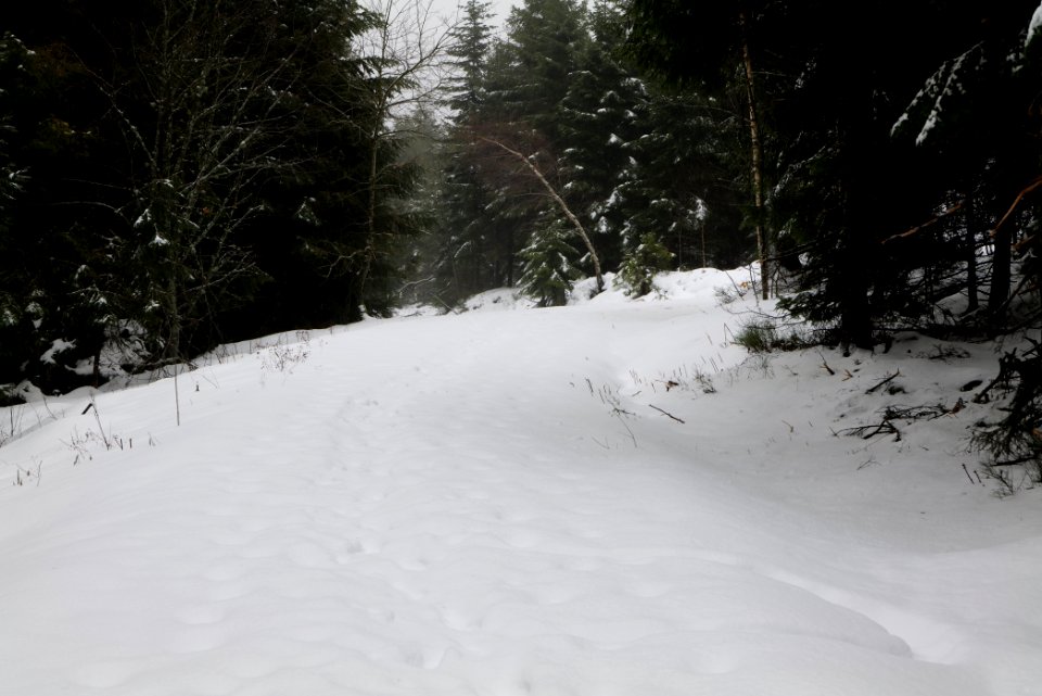 Track from Herrenwieser Sattel to Badener Höhe with snow 2020-03-10 09