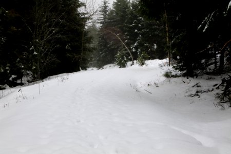 Track from Herrenwieser Sattel to Badener Höhe with snow 2020-03-10 09