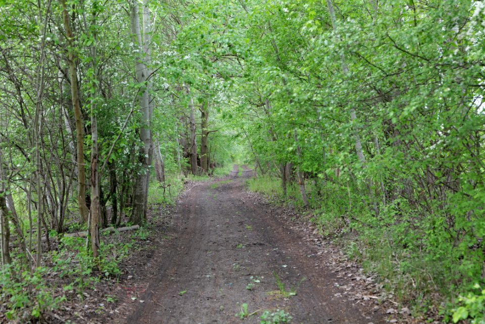 Track in Fehrbellin 2020-05-15 02