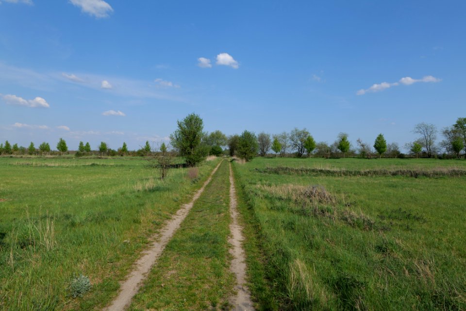Track in Ragow 2021-05-11 05