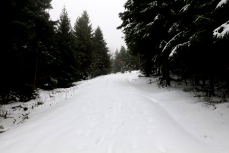 Track from Herrenwieser Sattel to Badener Höhe with snow 2020-03-10 08