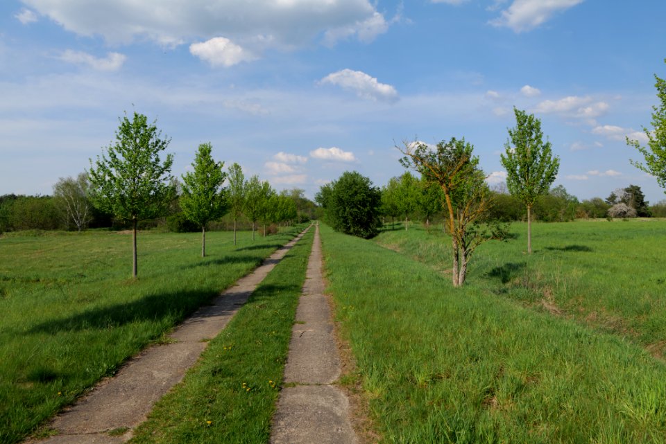 Track in Ragow 2021-05-11 10