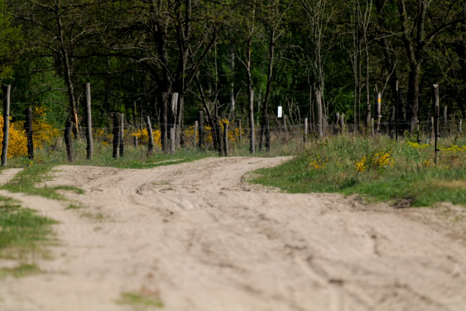 Track in Döberitzer Heide Ferbitzer Bruch 2020-05-08 14