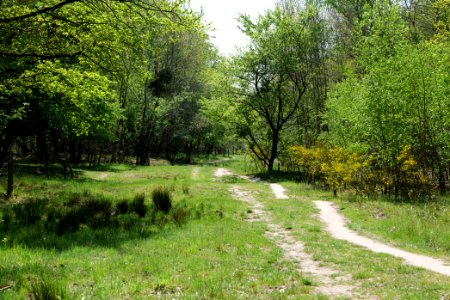 Track in Döberitzer Heide 2020-05-08 25