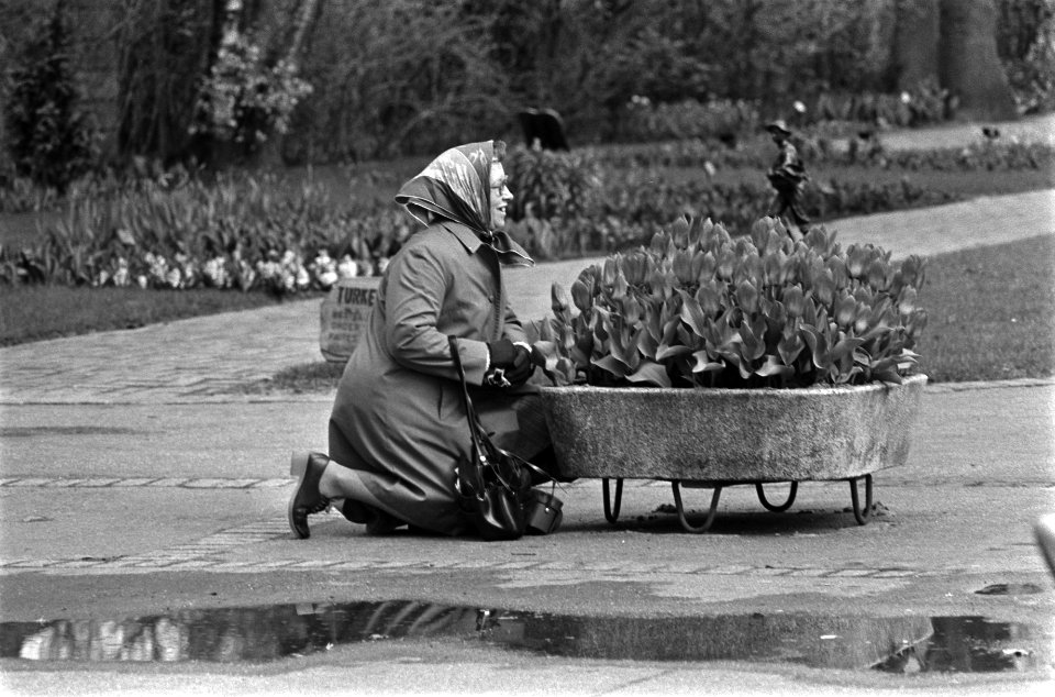 Touristen fotograferen in Keukenhof, Bestanddeelnr 928-5148