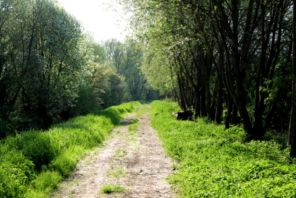 Track in Kiekebusch 2021-05-11 03