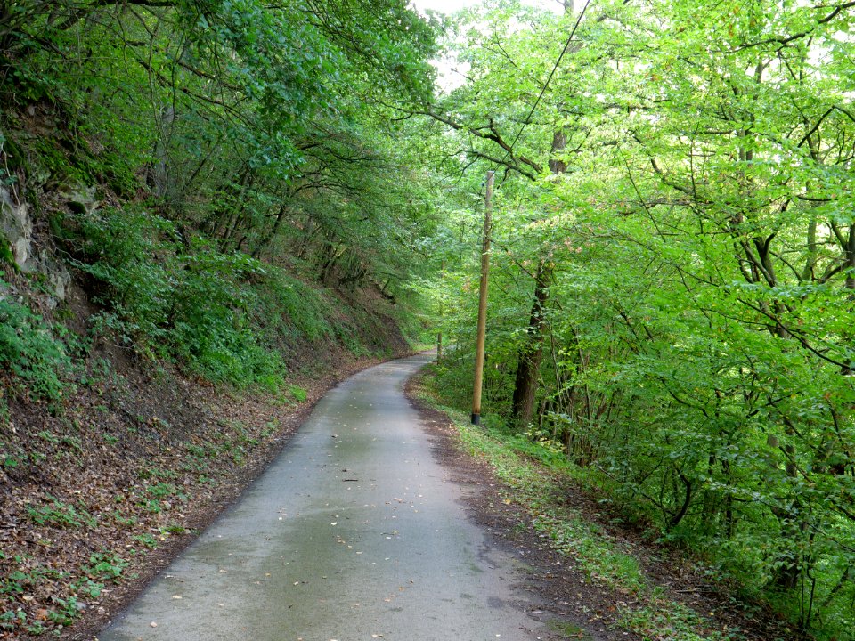 Track in the Rurtal 02