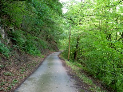 Track in the Rurtal 02