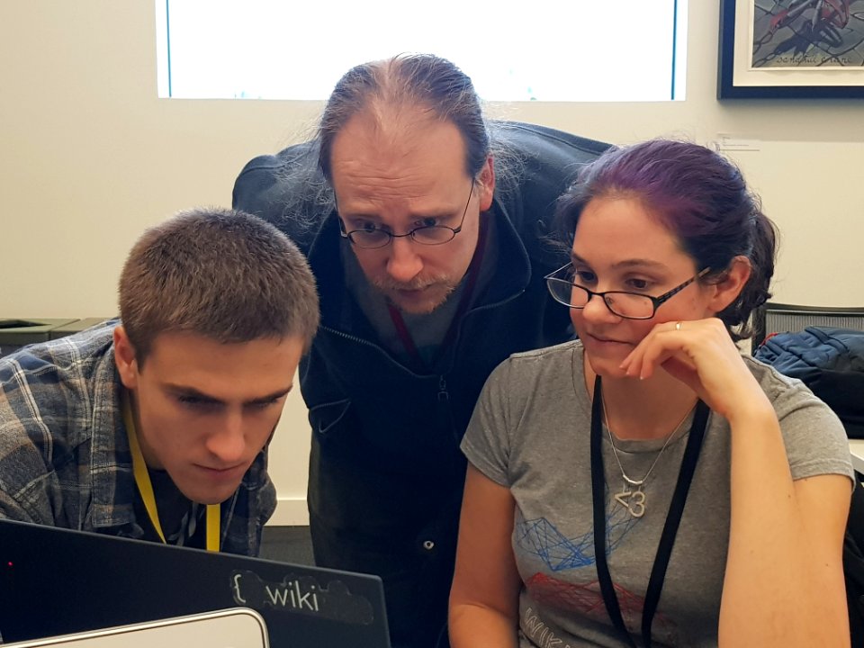 Thomas Arrow, Daniel Mietchen and Marielle Volz