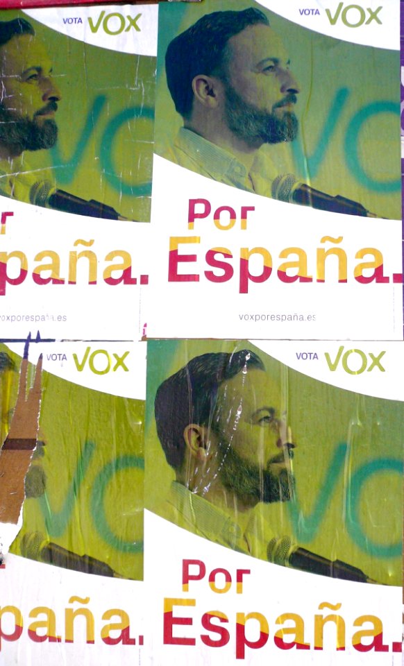 Torrijos - Cartel electoral de Vox