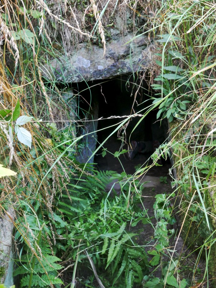ThostrupDolmenNord3a