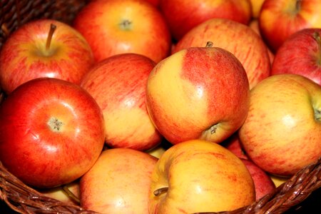 Food apple juicy