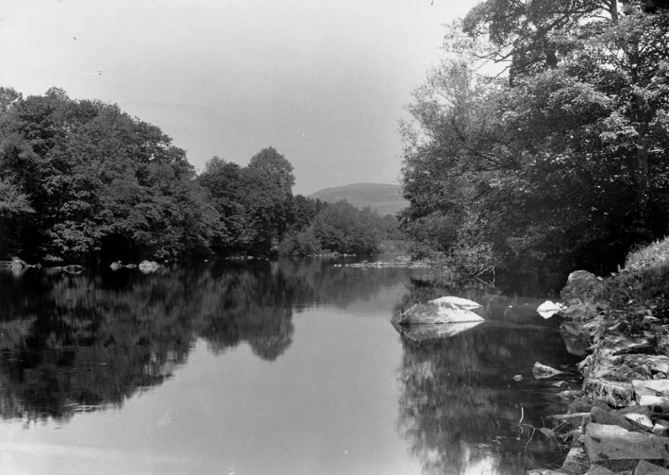 Tyrcelyn waters (1294535)