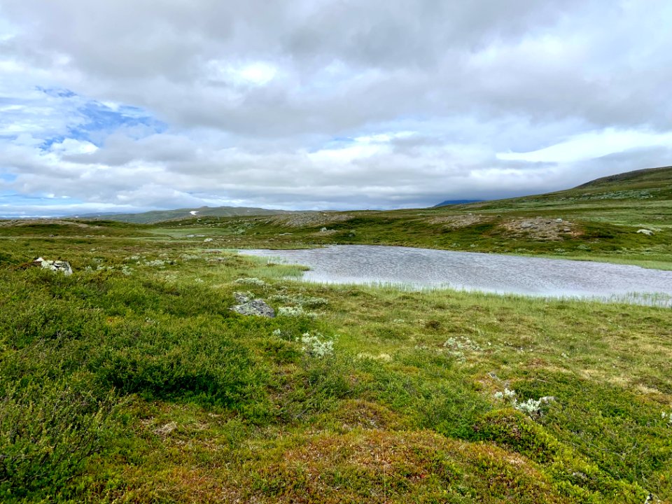 Vålådalens naturreservat