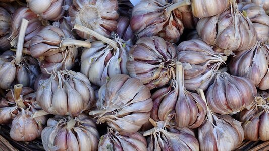 Spice market clove of garlic photo