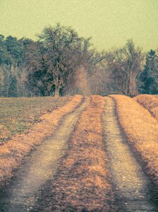 Path leisure nature