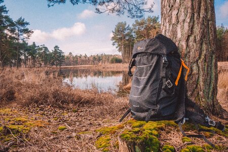Fall wood bag