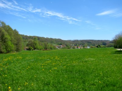 Unterwall (Berg NM) (1)
