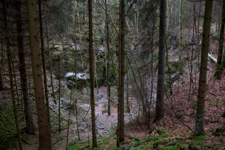 Unterwald-Ponor 14
