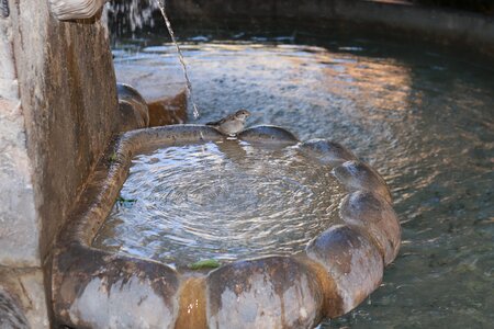 Fountain city decorative fountains drink