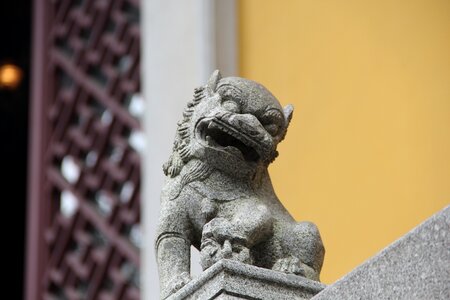 Stone lion cute interesting
