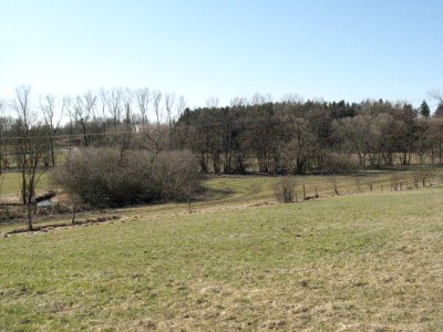 Unteres Nesselbachtal vom Grübig