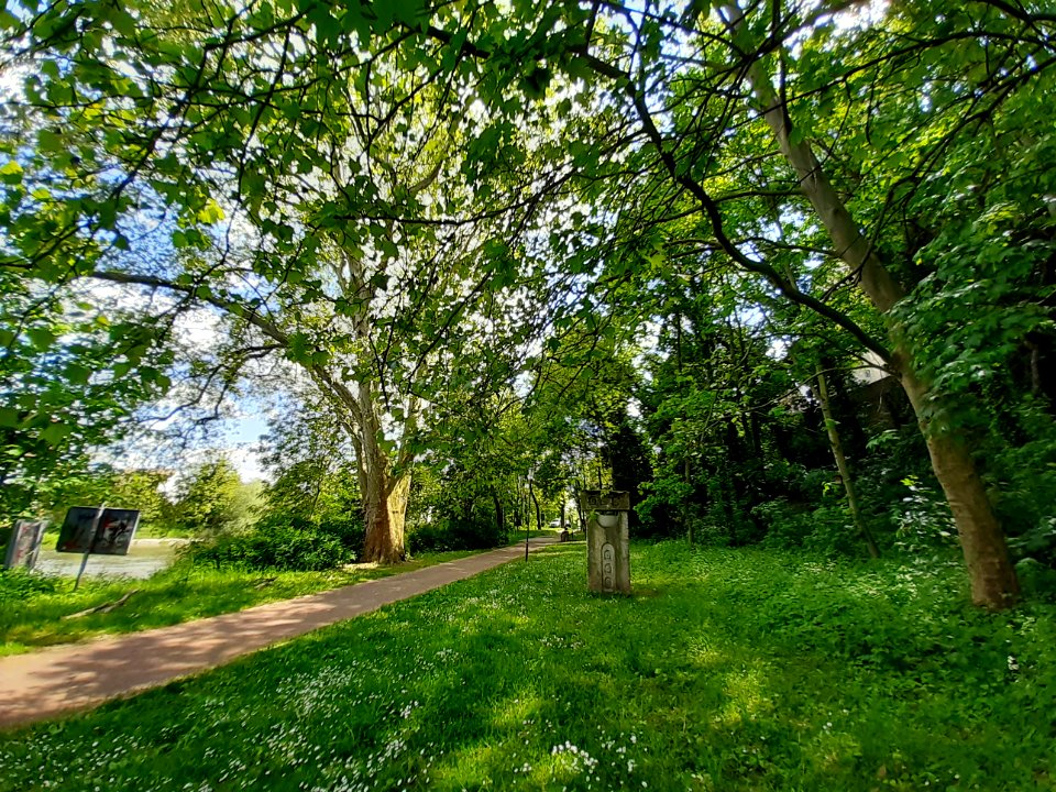 UntererSchlossgarten Merseburg 5