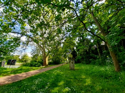 UntererSchlossgarten Merseburg 5