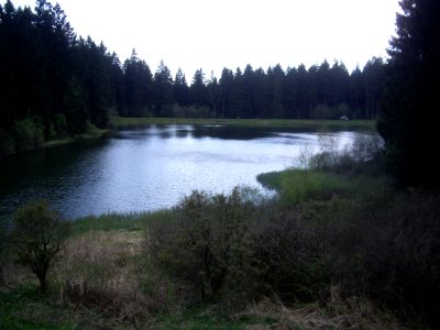 Unterer-Flambacher-Teich-07