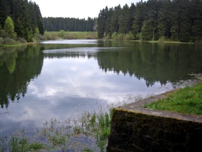 Unterer-Flambacher-Teich-09