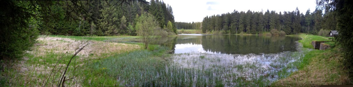 Unterer-Flambacher-Teich-01