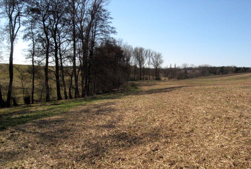 Unteres Nesselbachtal von nahe der Feldwegbrücke am Tiefen Weg