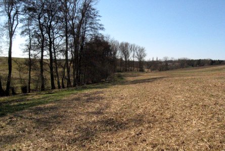 Unteres Nesselbachtal von nahe der Feldwegbrücke am Tiefen Weg
