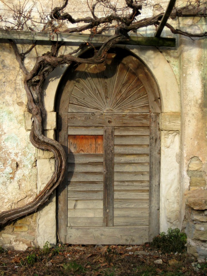 UntererYngramPortal2