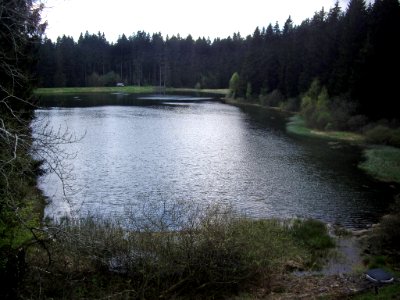 Unterer-Flambacher-Teich-06