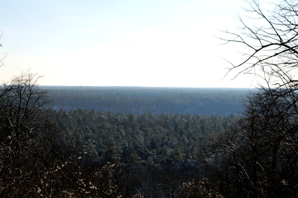 View from Teufelsberg with snow 2021-01-31 05