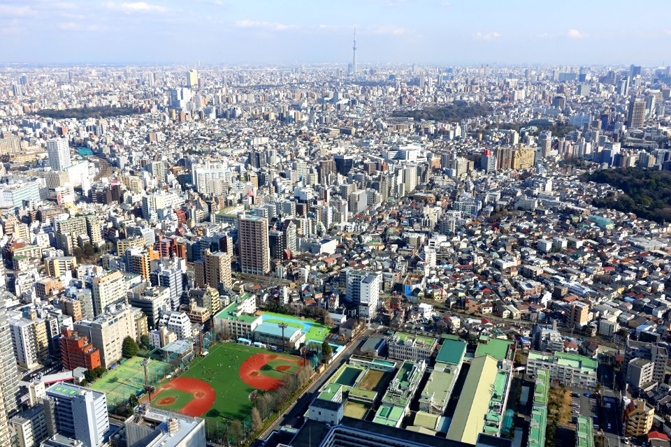 View from Sunshine City, Tokyo - DSC07869