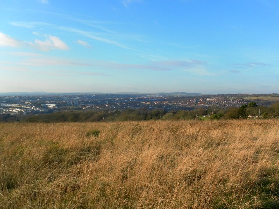 View from Tenantry Down, Warren Road, Brighton (December 2012) (4)