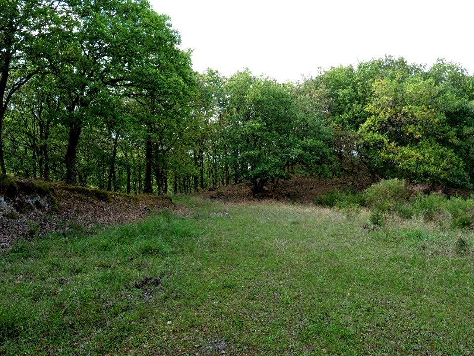 View from trail from Urfttalsperre to Dreiborner Hochfläche in September 2019 07