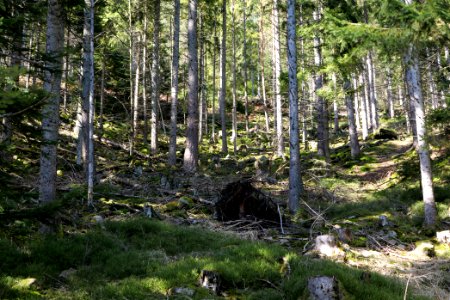 View from Untere Birkenaustraße on national park 2020-03-15 28